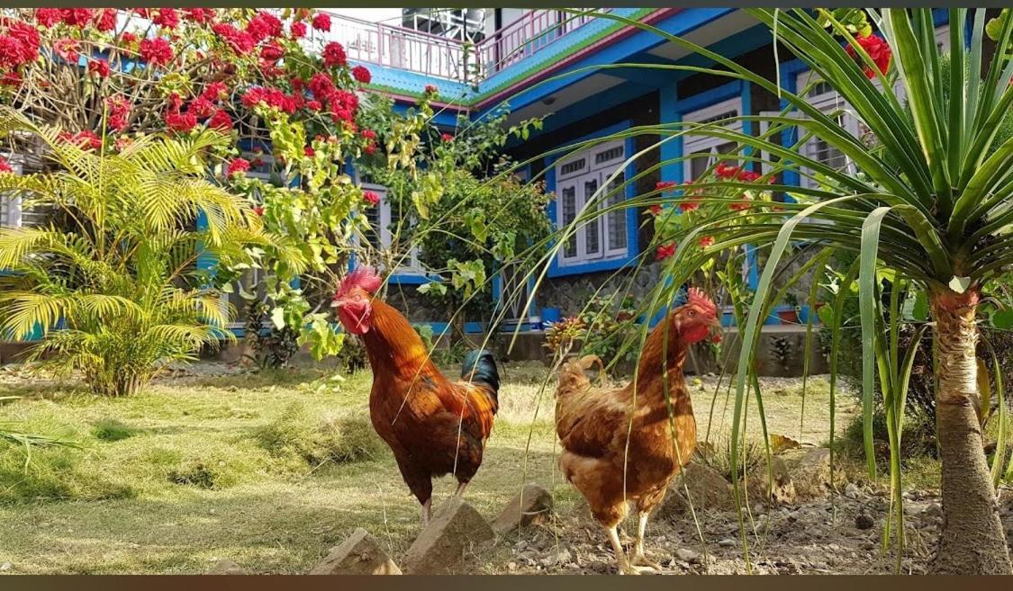 Robins Nest Hotel & Restaurant Deorali Luaran gambar